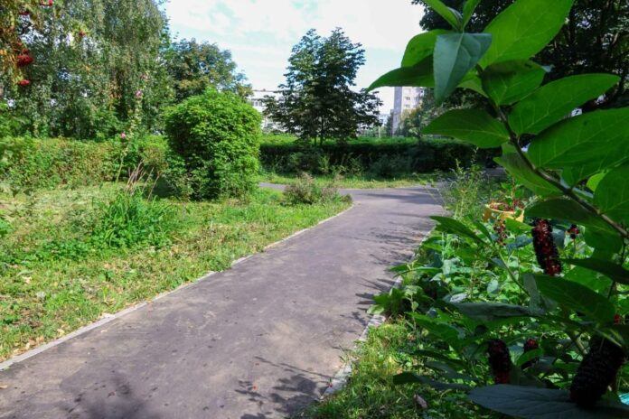 Порядка 1,5 километра тротуаров вместо тропинок появилось этим летом в Подольске 