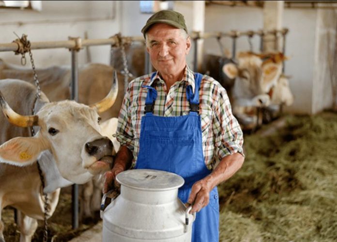 Информация для подольчан: о предоставлении грантов на развитие семейных ферм