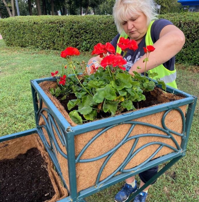 Работники ПКБ установили есть жирандолей на улицах Подольска