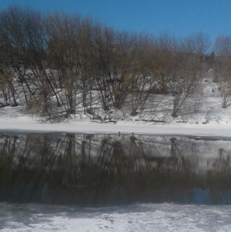 Толщина льда на Пахре 24 марта