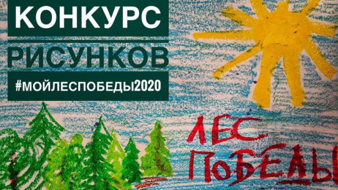 Жители Подольска могут принять участие в конкурсе рисунков #МойЛесПобеды2020