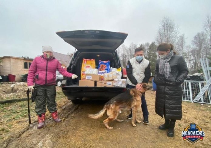 Подольские волонтеры помогли приюту для животных