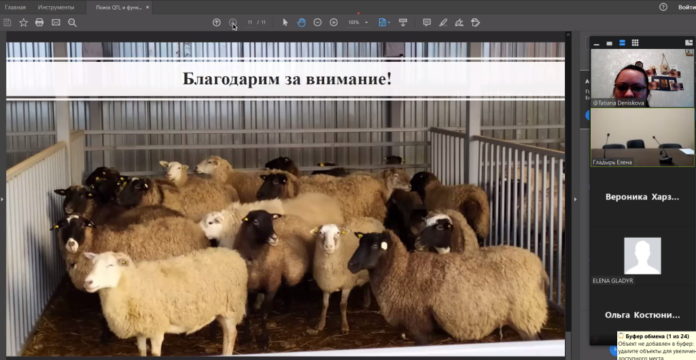 Ученые ФИЦ ВИЖ им. Л.К. Эрнста поучаствовали в Международном биотехнологическом Форуме РосБиоТех-2020