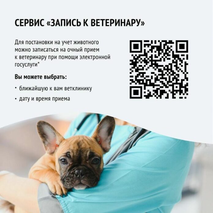 Не забудьте поставить на учет ваших питомцев!