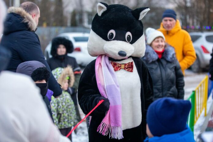В деревне Ордынцы открыта новая ДИП