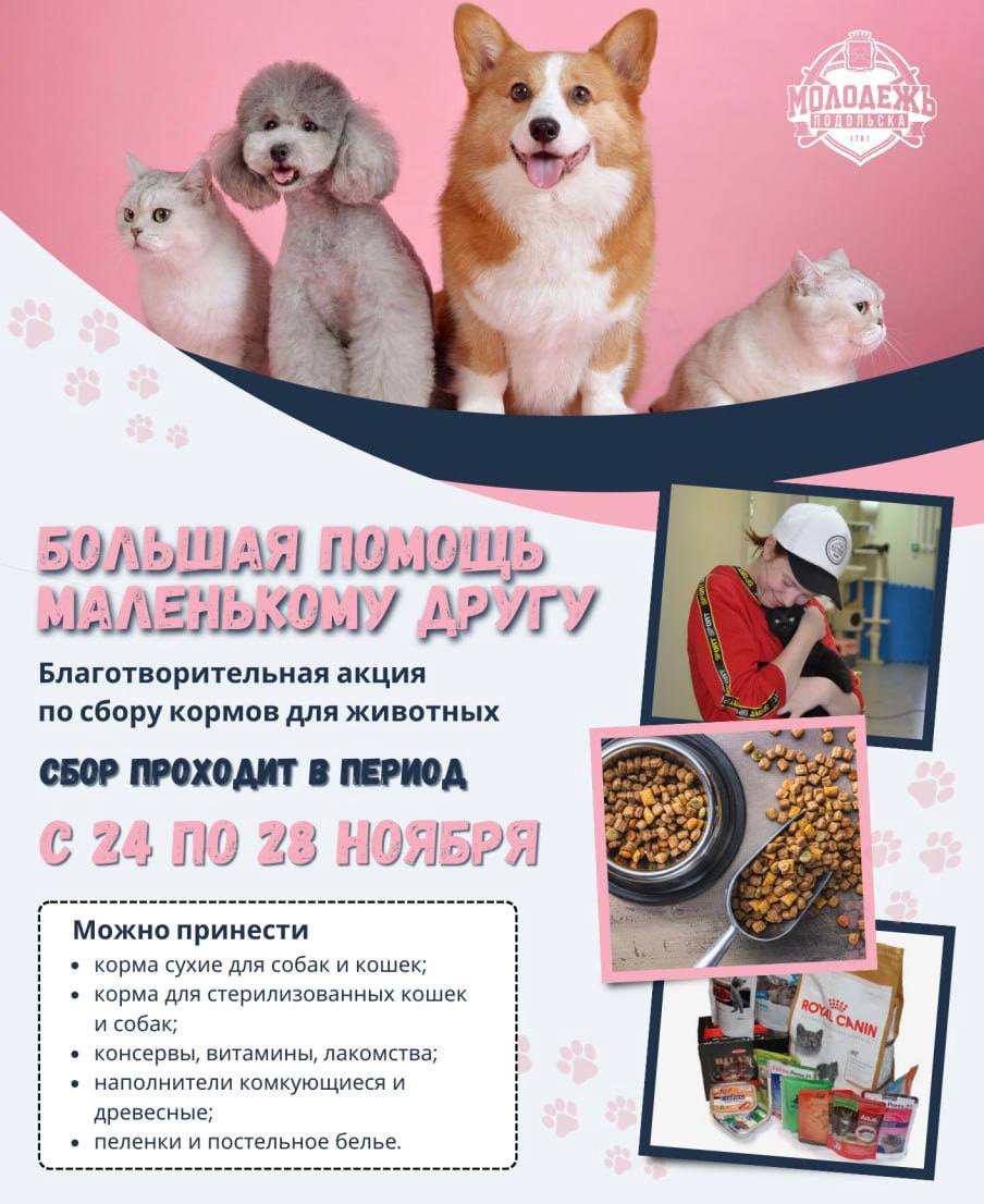 Благотворительная акция «Большая помощь маленькому другу»
