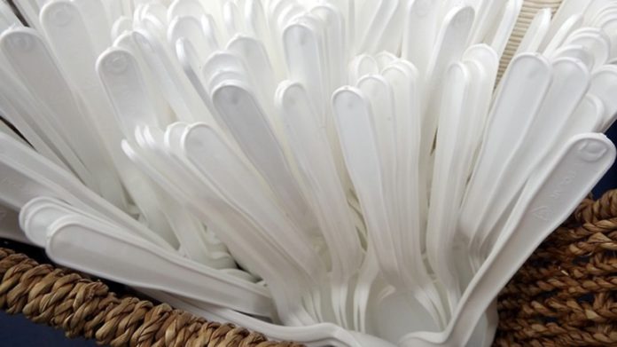 Экологи Подмосковья поддержали инициативу запретить производство неперерабатываемой одноразовой посуды