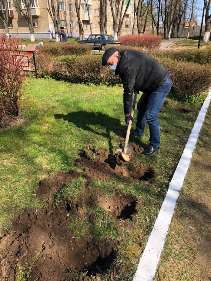 Кустарники высадили возле памятника в Дубровицах