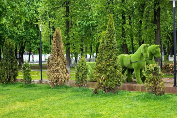 Благоустройство городского парка будет продолжено