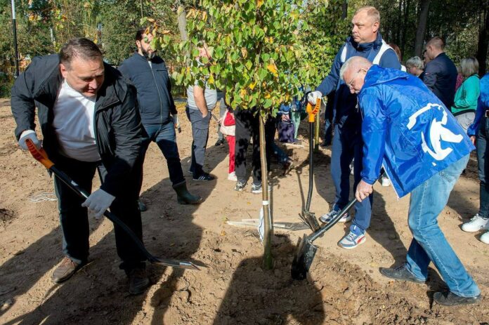 Сотни новых деревьев и кустарников сегодня появились на общественных пространствах и во дворах Подольска...