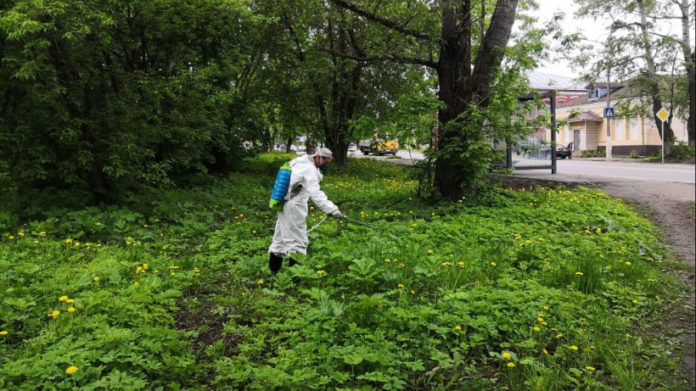 К сведению подольчан: почти 1,5 тысяч звонков поступило на горячую линию по борьбе с...