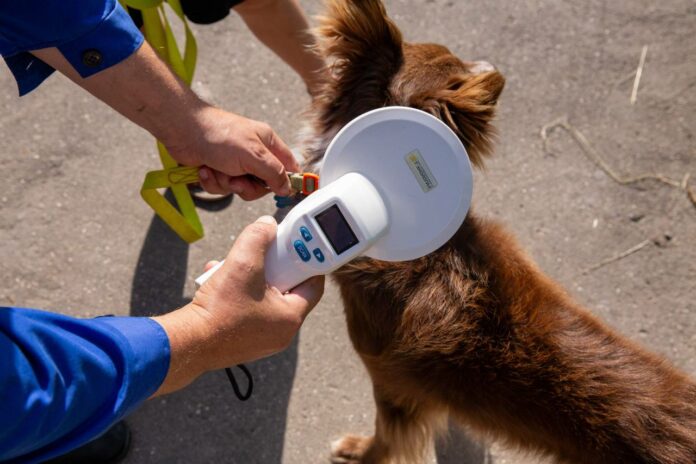 Передвижной ветпункт продолжает работу в Подольске