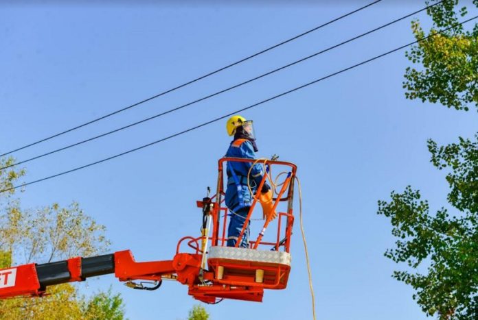 В парке «Дубрава» посадили деревья и кустарники после вырубок в зоне воздушных линий электропередачи