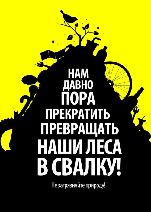Из подольских лесов вывезено около 230 кубометров мусора