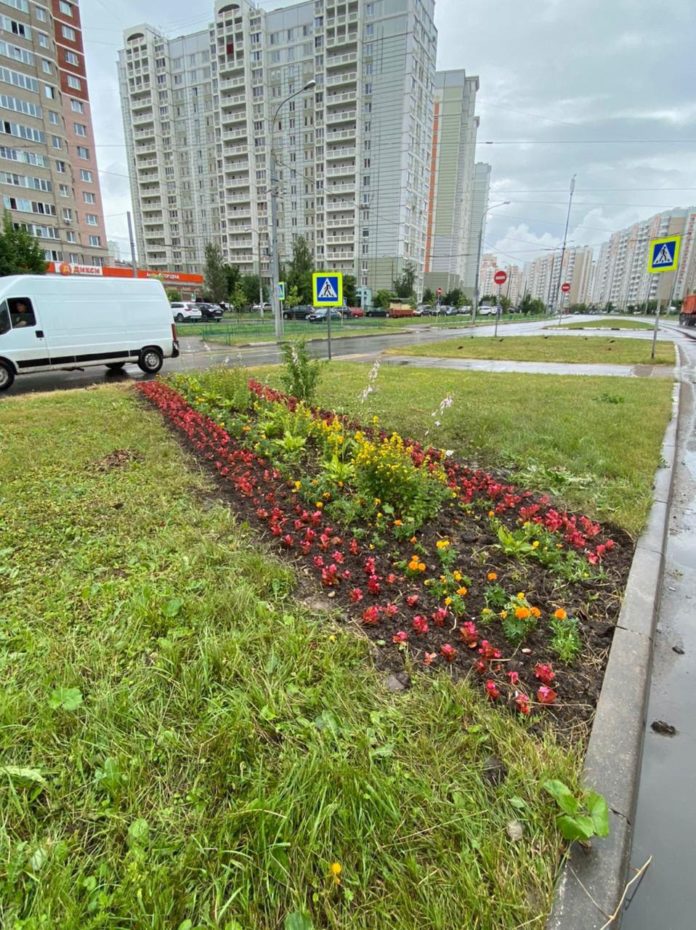 В микрорайоне Кузнечики обновили клумбу