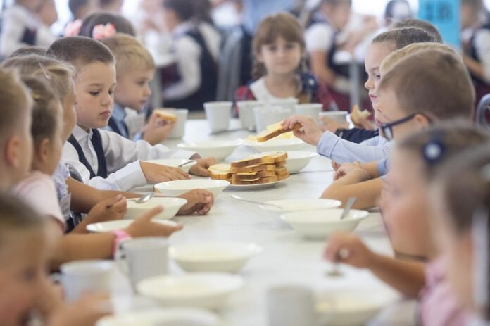 Бесплатное горячее питание получают ученики начальных классов в школах Большого Подольска