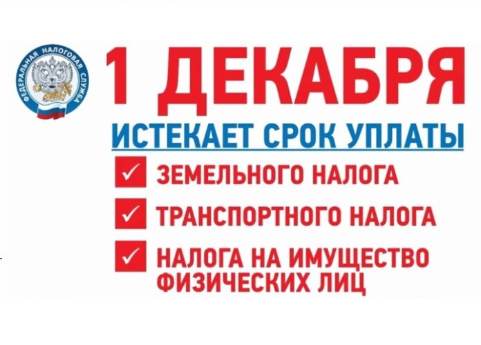 Оплатить налоги необходимо до 1 декабря