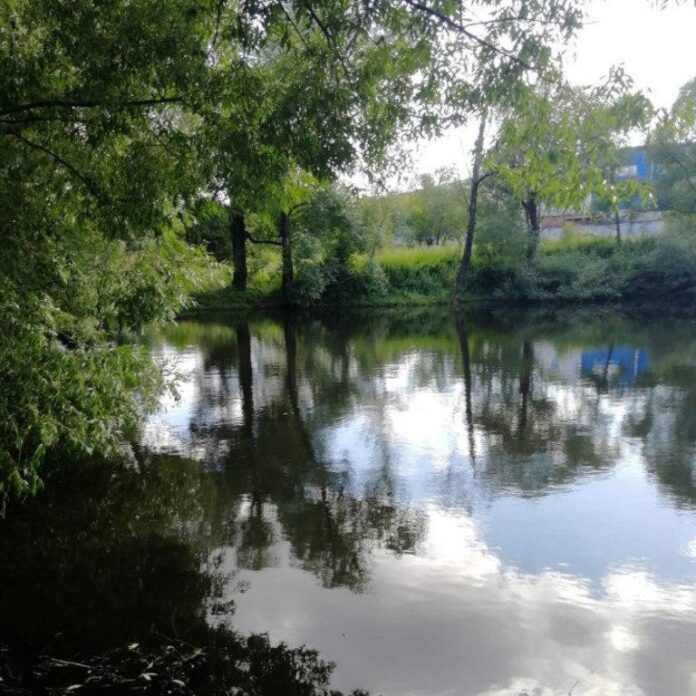 К сведению подольчан: о загрязнении стоками ручья Неумейка