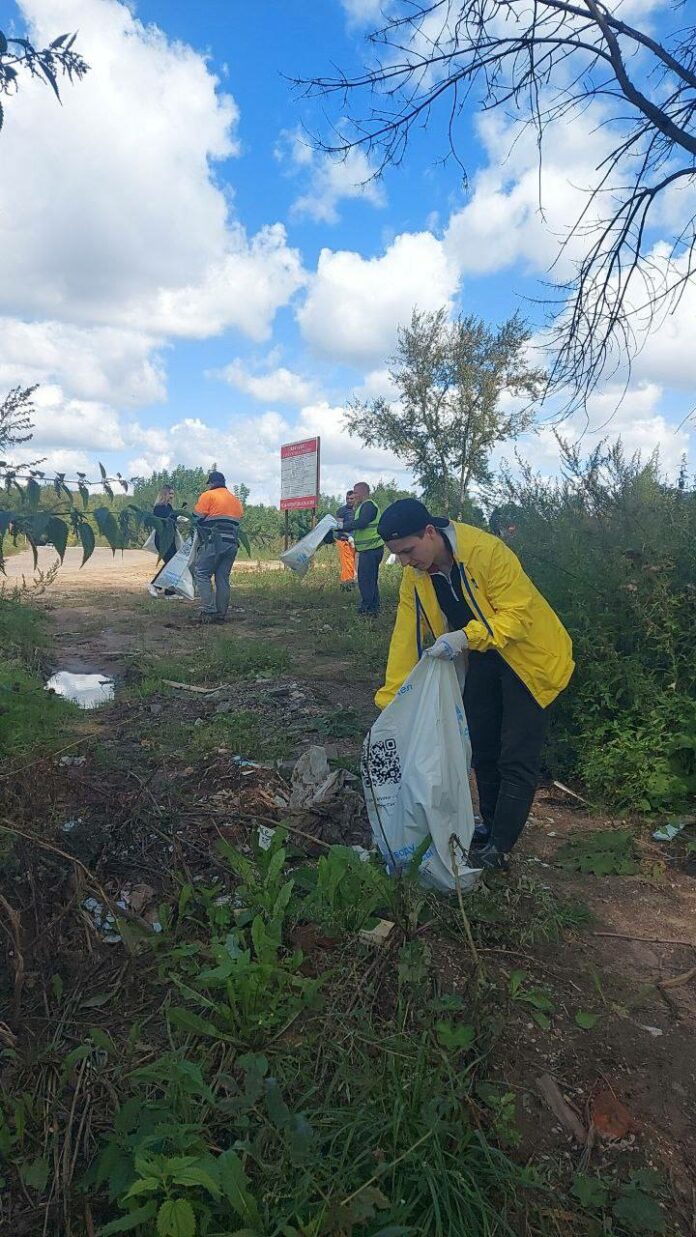 В Подольске экологи собрали пять кубометров мусора на берегу Петрицы
