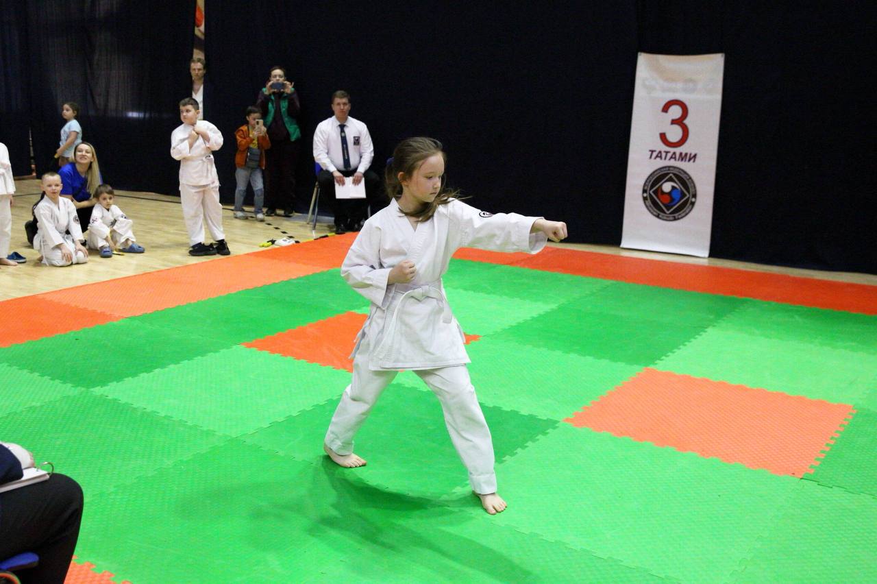 В Подольске состоялись соревнования Кубка Всероссийской федерации кобудо 