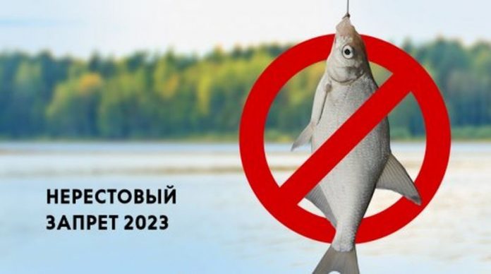Нерестовый запрет — 2023 в Подольске