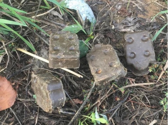 Ветеринарная станция разъясняет!