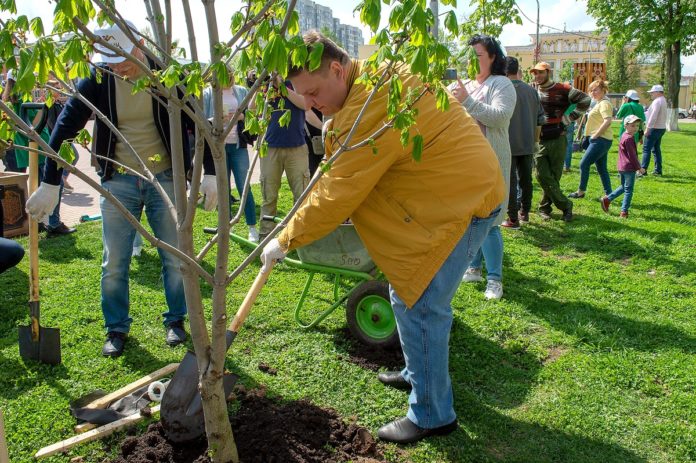 Глава муниципалитета Николай Пестов принял участие в эколого-патриотической акции «Лес Победы» 15 мая
