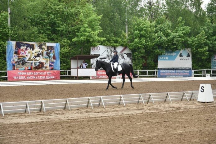 Соревнования по выездке прошли в Конно-спортивном клубе «Фаворит»