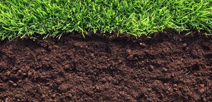 О работах по ликвидации несанкционированной свалки в Подольске