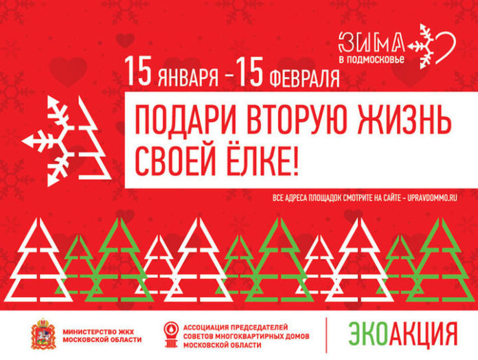 В рамках акции «Подари вторую жизнь своей ёлке» в муниципалитете вывезено 48 кубических метров...