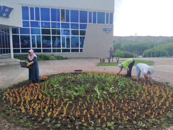 Цветы высаживают на клумбах в Климовске