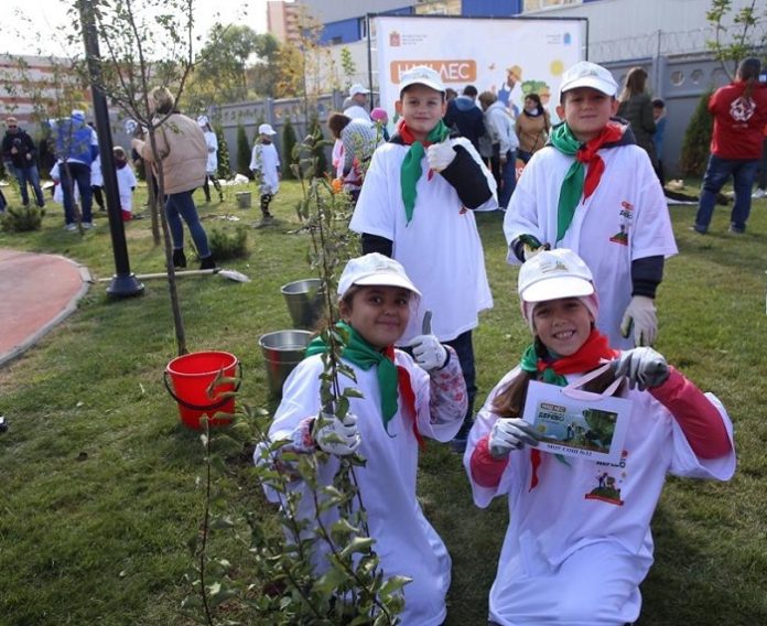 Саженцы клена и жасмина высадили на бульваре 50 лет ВЛКСМ