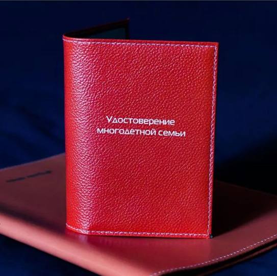 Упрощено получение мер соцподдержки для многодетных семей