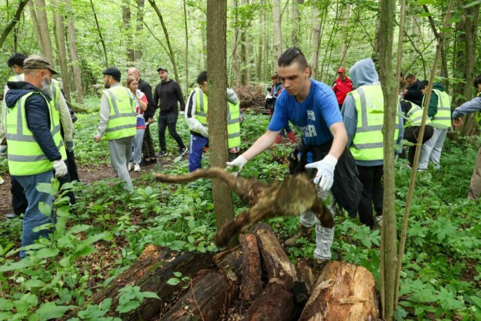 В Подольске местное отделение партии «Единая Россия» провело акцию «Чистый лес»