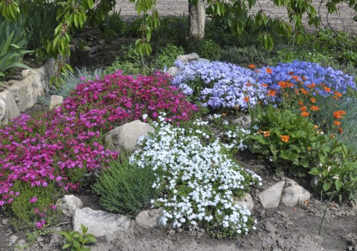 На звание «Лучший сад во дворе Подмосковья» претендуют подольские проекты