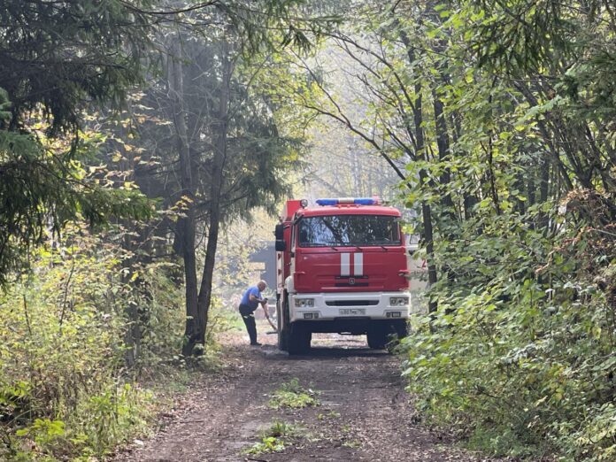 Все ответственные службы держат на контроле последствия возгорания на территории около д. Лучинское