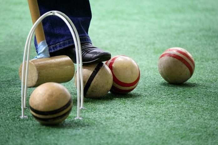 Музейные работники Подмосковья сыграют в крокет