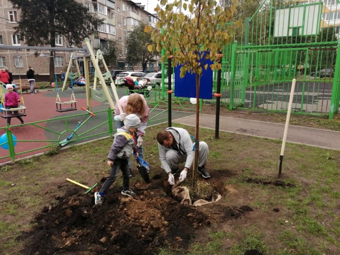 Акция «Наш лес. Посади свое дерево» состоялась в микрорайоне Климовск