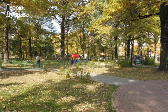 Жителей округа приглают принять участие в опросе на тему благоустройства парка «Дубрава»