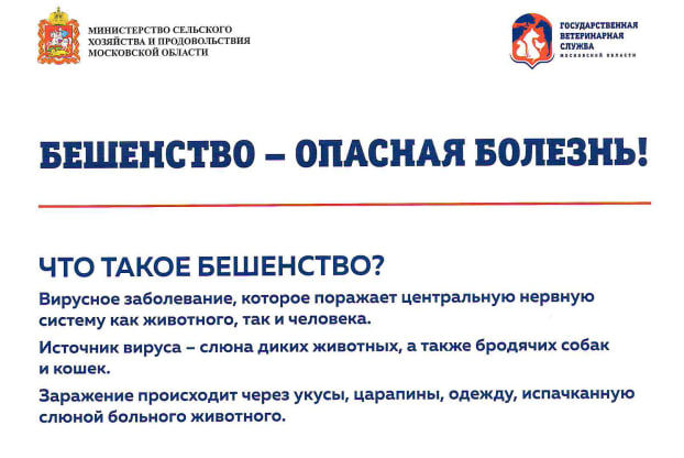 В Подольске до конца мая проводится месячник по профилактике бешенства среди животных