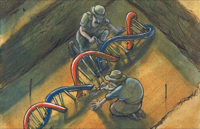 Сотрудники ФГБНУ ФНЦ ВИЖ имени Л.К. Эрнста и Института археологии РАН обсудили направления и...