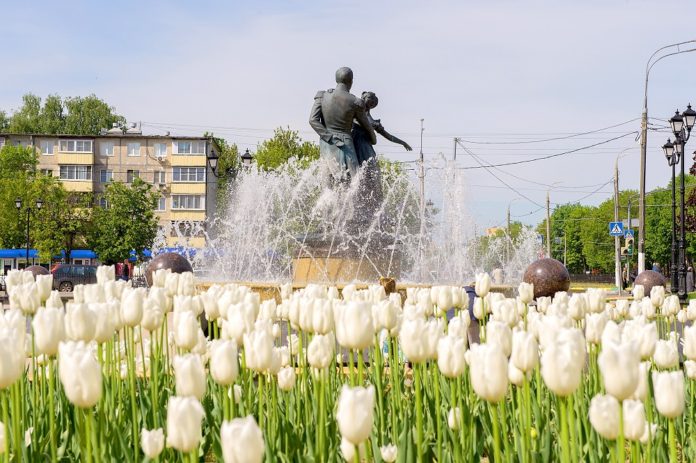Весной в Подольске зацветут 300 тысяч тюльпанов