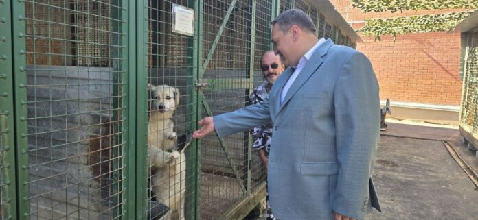 Однопартийцы горокруга Подольск передали корм для бездомных животных