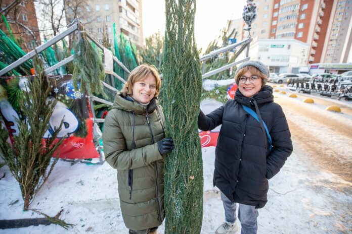 В Большом Подольске работают ёлочные базары