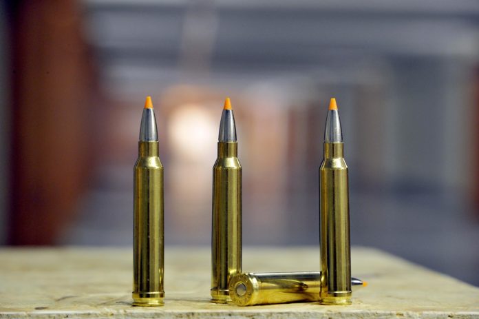 Сотрудники полиции изъяли патроны у местного жителя