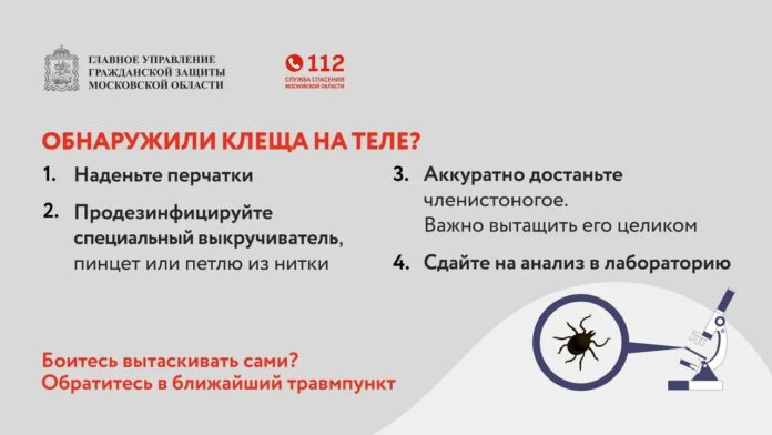 С началом весенне-летнего сезона актуальной становится проблема укусов клещей