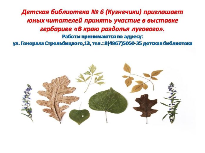 Детская библиотека № 6 приглашает принять участие в выставке гербариев