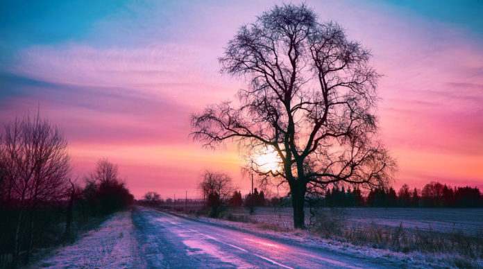 Конкурс любительской фотографии #ВОбъективеЗима стартовал 11 декабря в Подольске