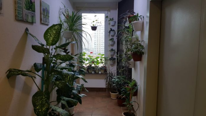 В Кузнечиках проверили содержание общего имущества дома № 30 по улице Академика Доллежаля