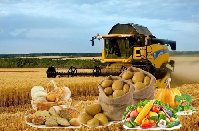 Заведи свое хозяйство в Московской области